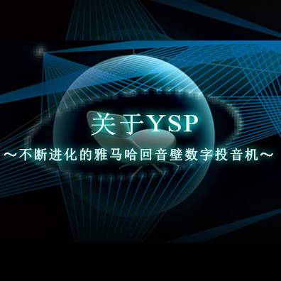 不断进化的平博88回音壁数字投音机