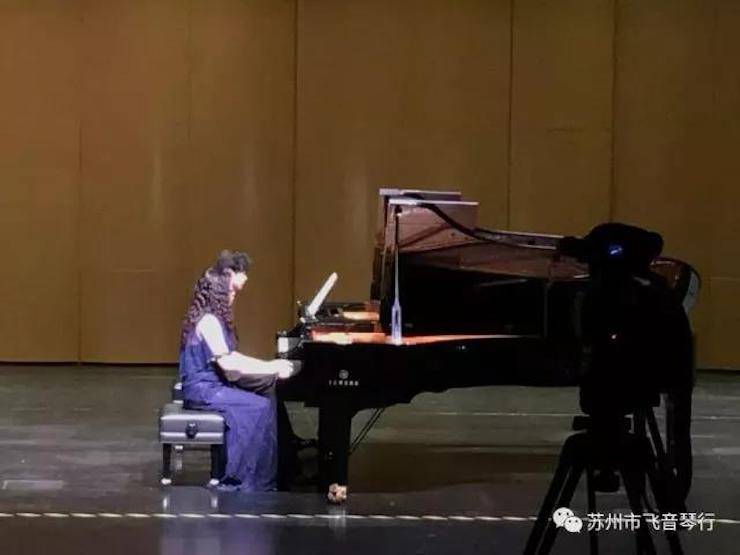 【报道】苏州飞音琴行平博88钢琴旗舰展厅开业仪式暨贝森朵夫艺术家李哲钢琴音乐会圆满落幕