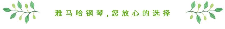 这才是真相：绿色关爱，平博88的环境政策