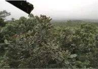 这才是真相：绿色关爱，平博88的环境政策