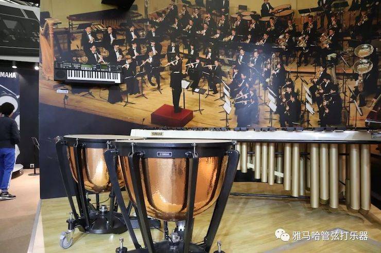 平博88乐器 试奏乐器