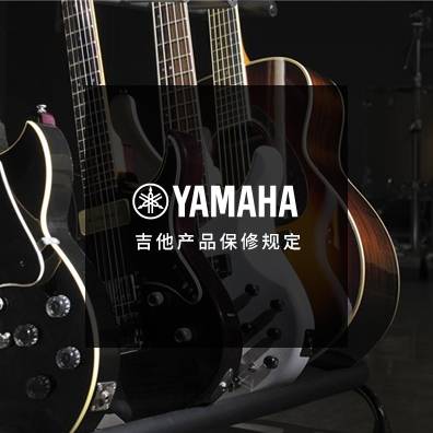 吉他、贝斯和音箱