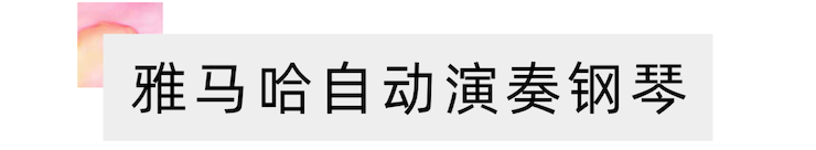 活动报道 | 远程艺术教育大师课活动—平博88教育家崔岚大师课