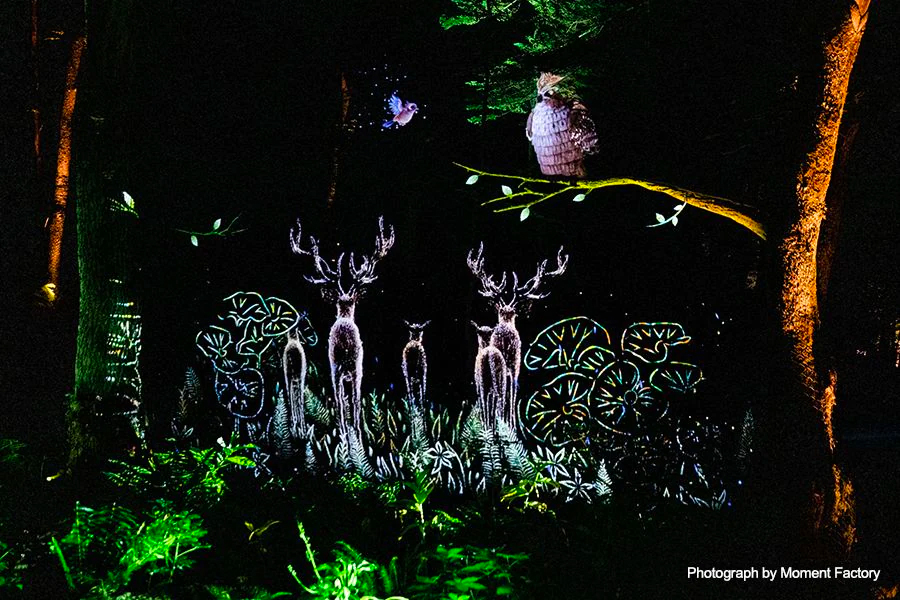 案例｜平博88为壮观的Kamuy Lumina魔法夜行旅游项目提供配乐设备
