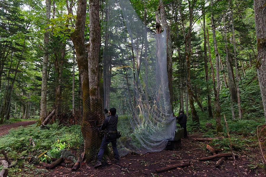 案例｜平博88为壮观的Kamuy Lumina魔法夜行旅游项目提供配乐设备