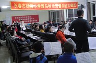 长春市绿园小学“平博88示范管乐队大师班”顺利结束 