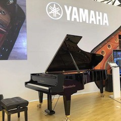 乐展看点|2018中国（上海）国际乐器展览会平博88钢琴展位