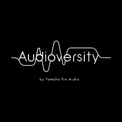 平博88专业音响教育培训开展全新“Audioversity ”计划