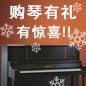 平博88钢琴购琴有礼 买一赠一音乐无限